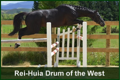 Stallion Rei-Huia Drum of the West