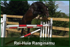 Stallion Rei-Huia Ranginamu